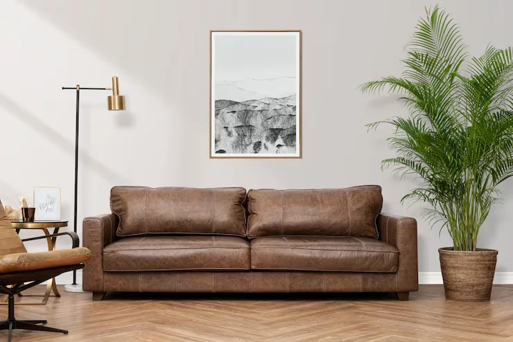 Customer living room: Customer living room with a brown leather sofa and house plant.